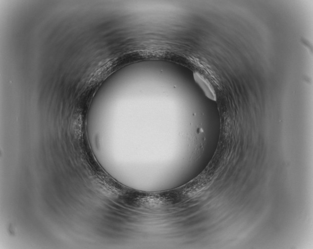 X0000096430498200802071729