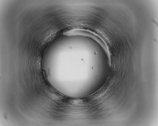 X0000096430501200802071729