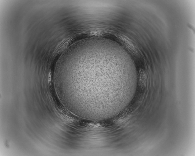 X0000096430502200802071729