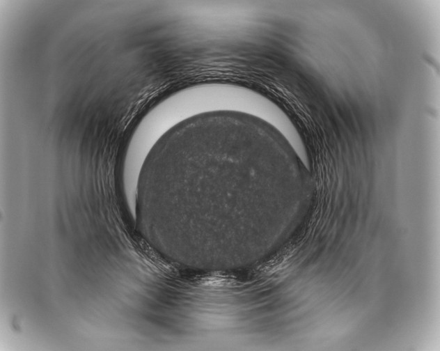 X0000096430504200802071729