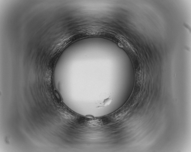 X0000096430505200802071729