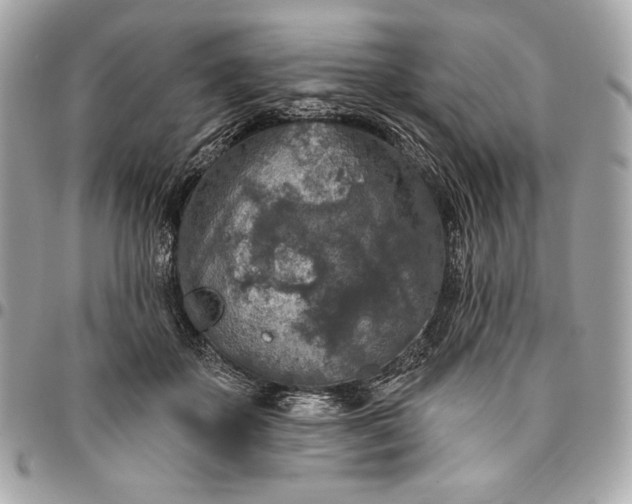 X0000096430507200802071728