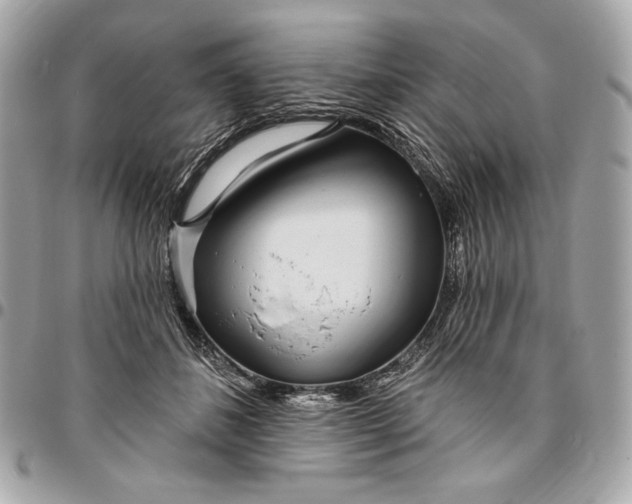 X0000096430508200802071728