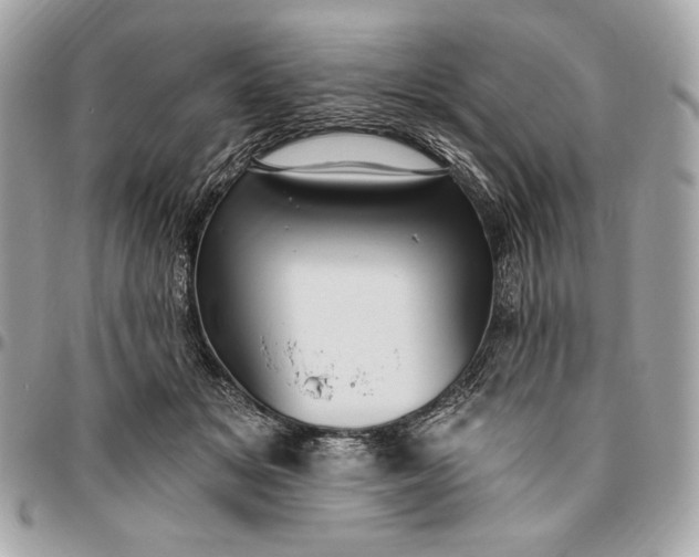 X0000096430509200802071728