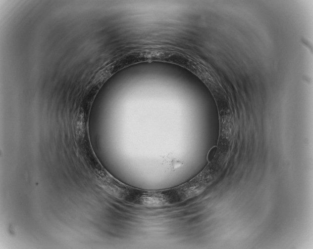 X0000096430510200802071728