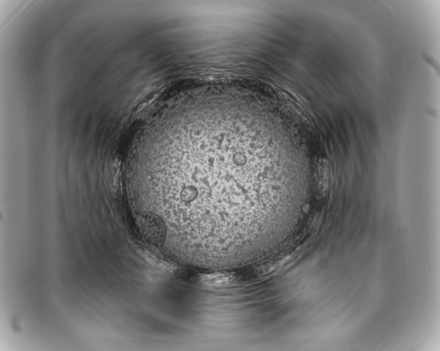 X0000096430511200802071728