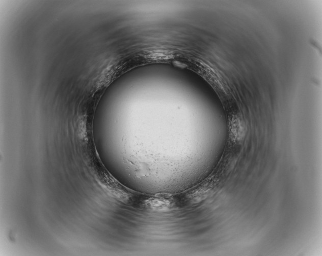 X0000096430512200802071728