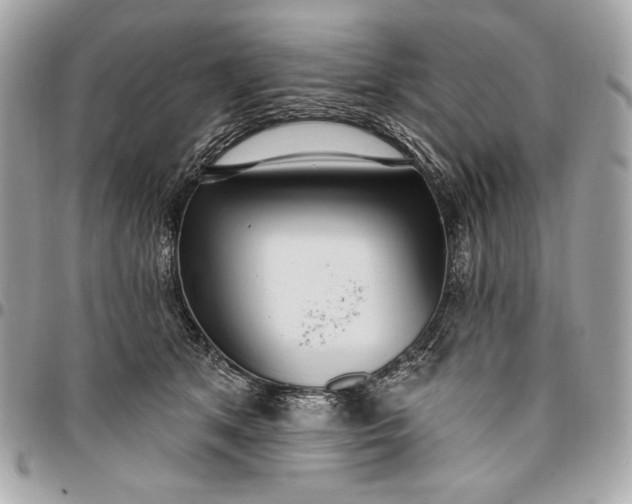 X0000096430513200802071728
