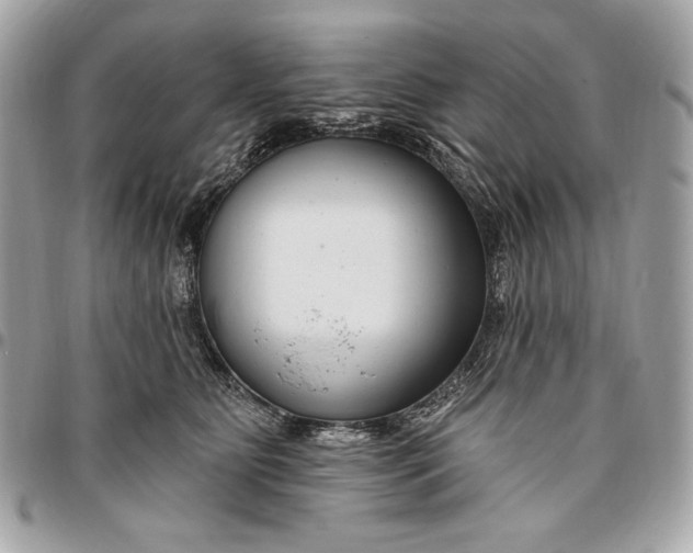 X0000096430515200802071728