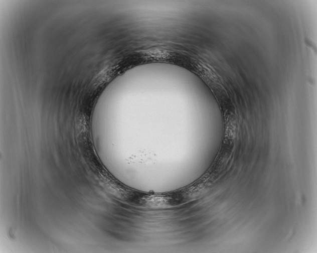 X0000096430518200802071728