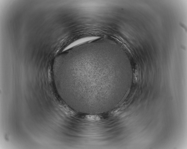 X0000096430520200802071728