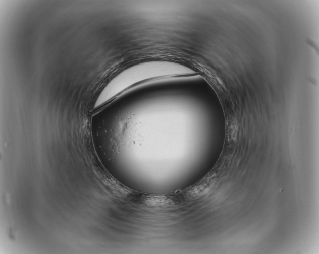 X0000096430521200802071728