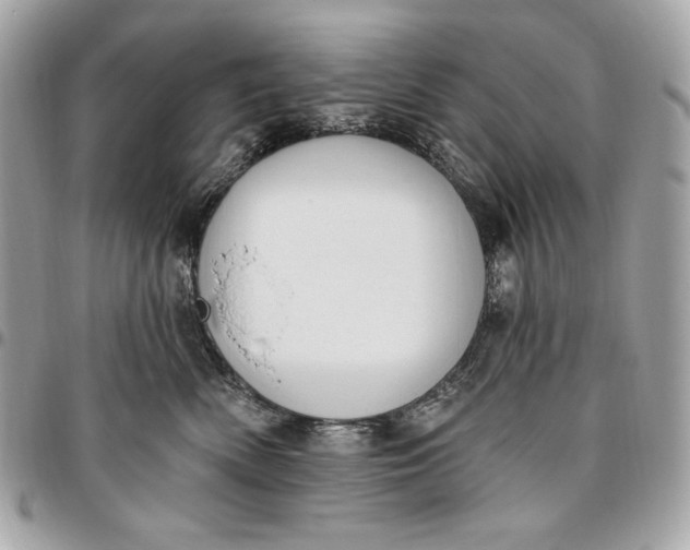 X0000096430522200802071728