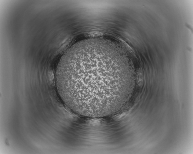 X0000096430523200802071728