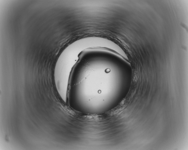 X0000096430524200802071728