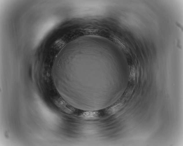 X0000096430526200802071728