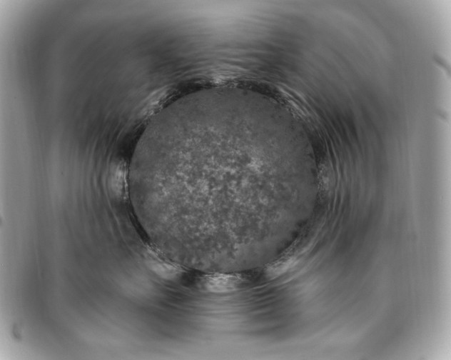 X0000096430527200802071728