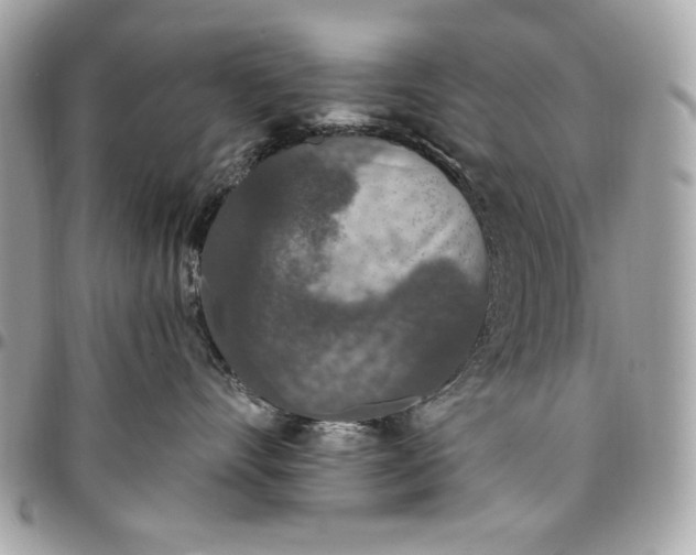 X0000096430528200802071728