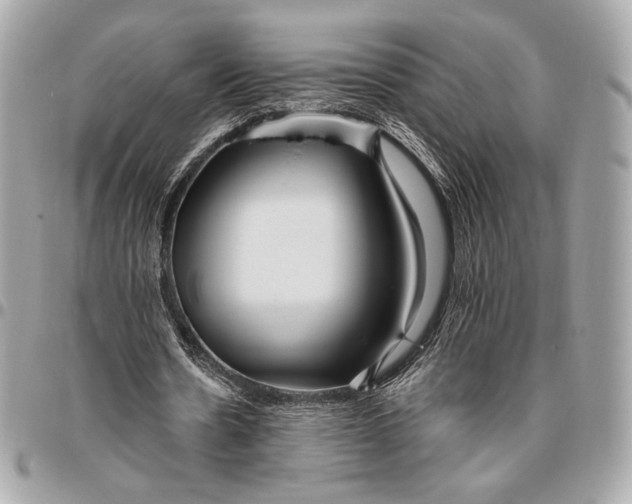 X0000096430530200802071727