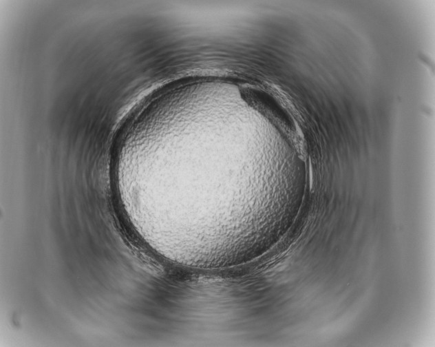 X0000096430531200802071727