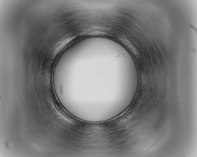 X0000096430533200802071727