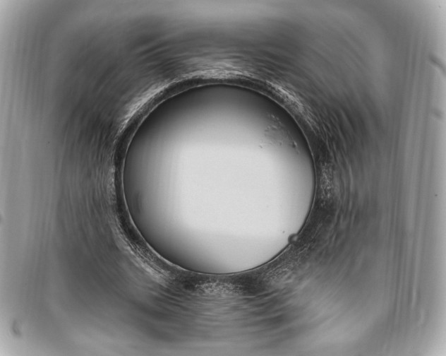 X0000096430535200802071727