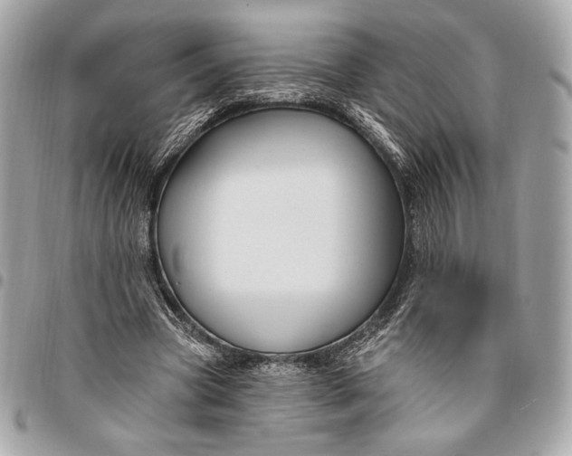 X0000096430537200802071727