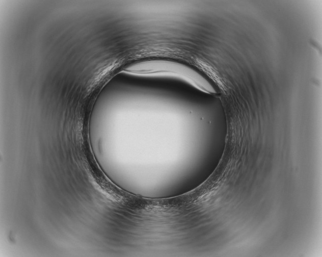 X0000096430538200802071727