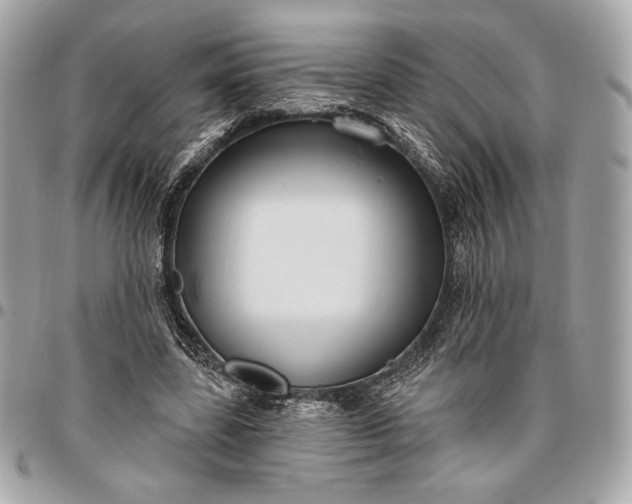X0000096430539200802071727