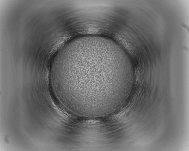 X0000096430542200802071728