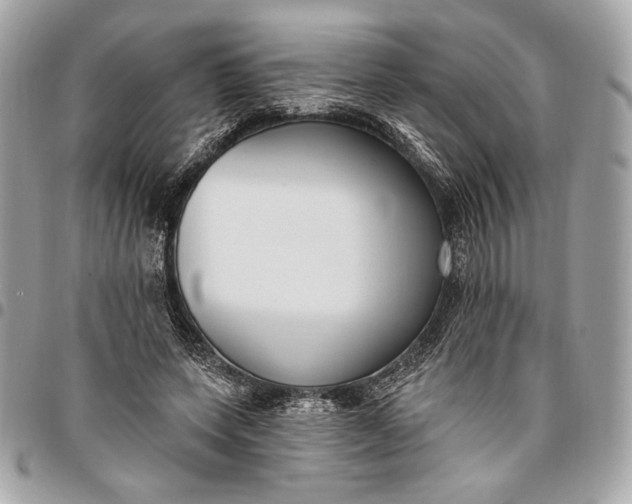 X0000096430543200802071728
