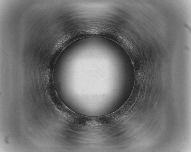 X0000096430544200802071728