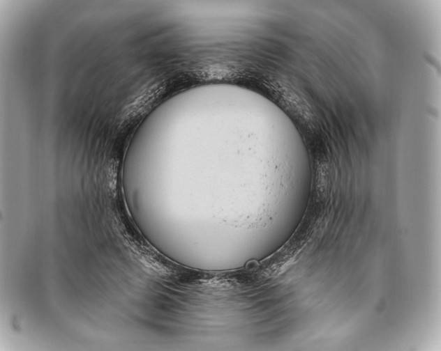 X0000096430545200802071728