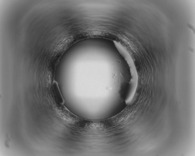 X0000096430546200802071728