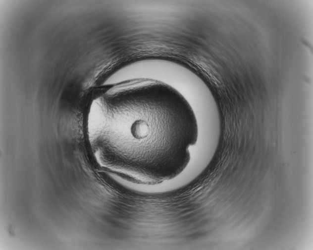 X0000096430547200802071728