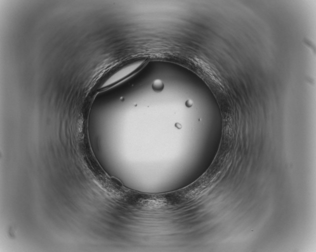 X0000096430548200802071728