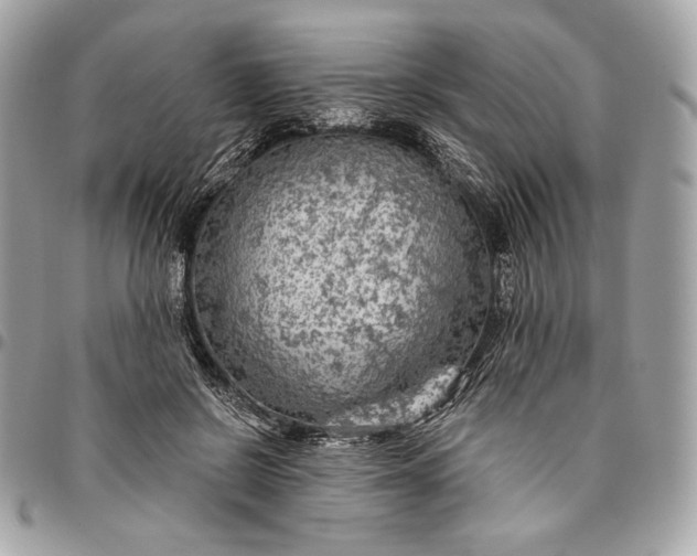 X0000096430550200802071728