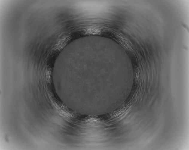 X0000096430551200802071728