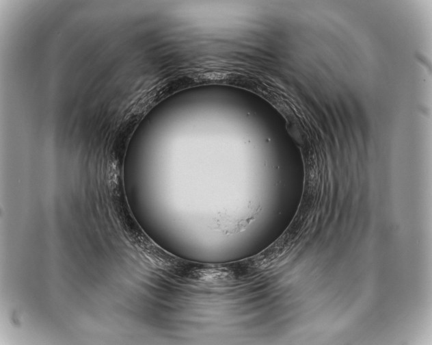 X0000096430555200802071728