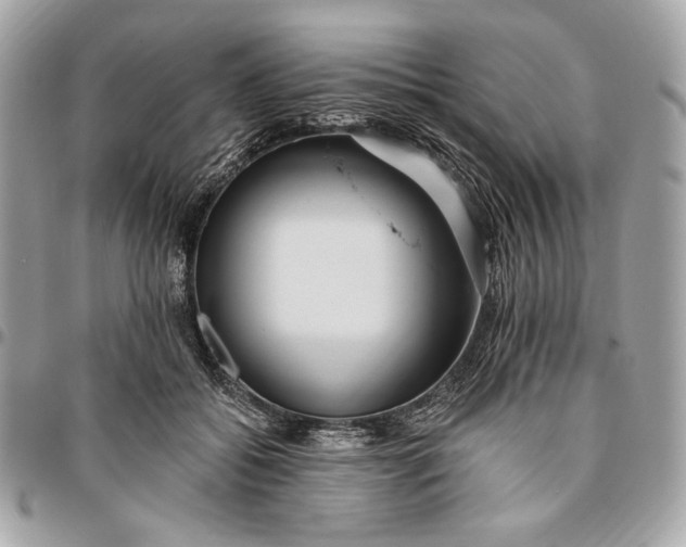 X0000096430556200802071728