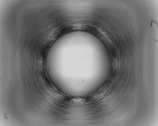 X0000096430557200802071728