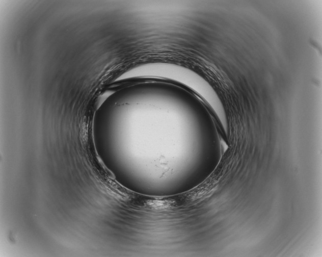 X0000096430558200802071728