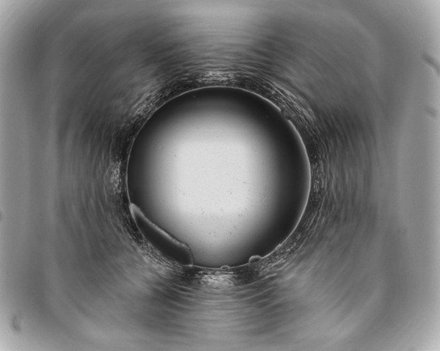 X0000096430560200802071728