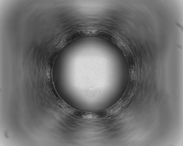 X0000096430561200802071728
