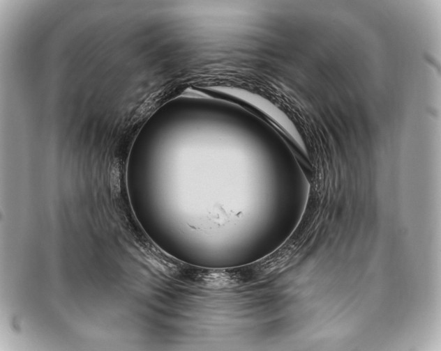 X0000096430562200802071728