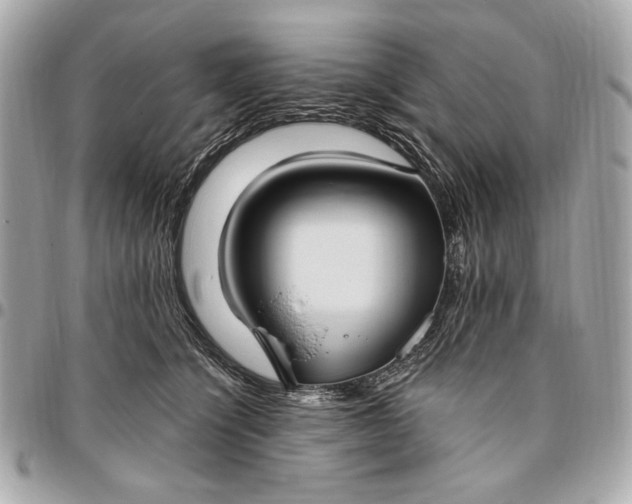 X0000096430564200802071728