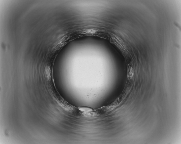 X0000096430568200802071728