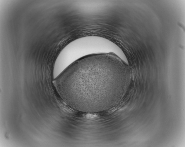 X0000096430570200802071728
