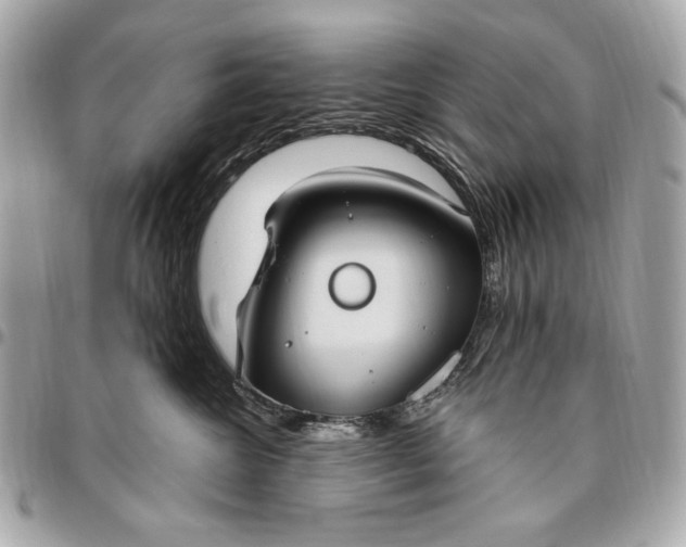 X0000096430572200802071728
