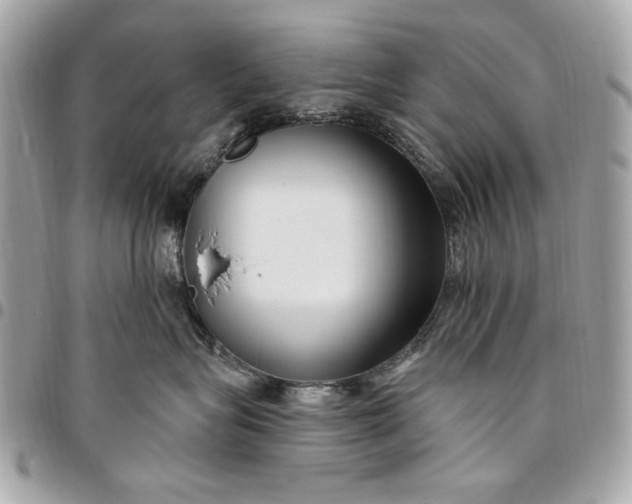 X0000096430575200802071728